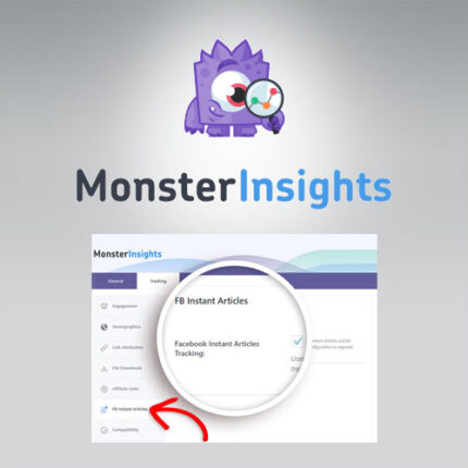 MonsterInsights – Facebook Instant Articles Addon