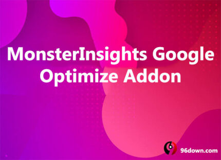MonsterInsights-Google Optimize Addon