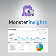 MonsterInsights Performance Addon