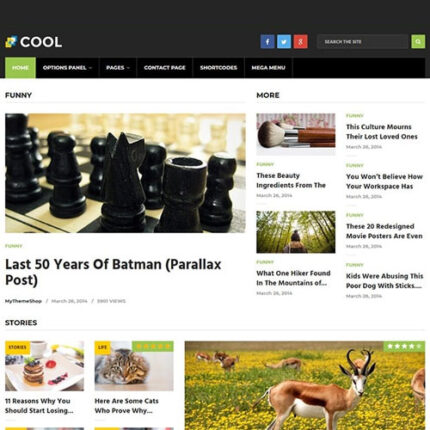 MyThemeShop Cool WordPress Theme