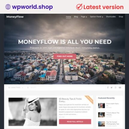 MyThemeShop MoneyFlow WordPress Theme