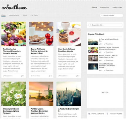 MyThemeShop Urban WordPress Theme