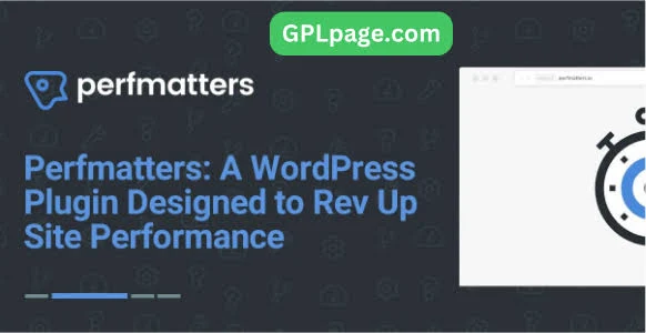 Perfmatters WordPress Plugin
