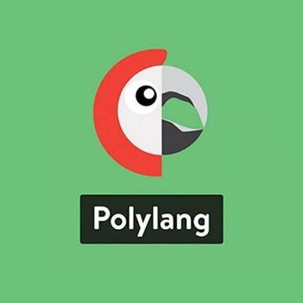 Polylang For AMP