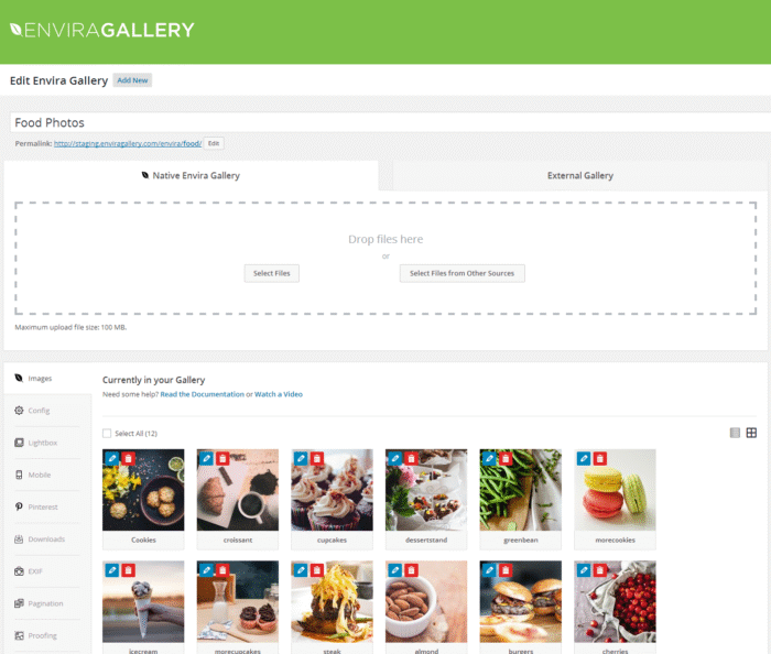Envira Gallery WordPress Plugin